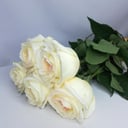 Букет «5 пионовидных роз 70см»