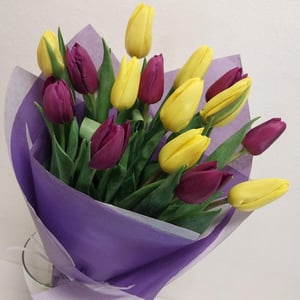 Букет «15 жёлтых и фиолетовых тюльпанов»