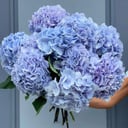 Букет «Облако любви» из гортензий