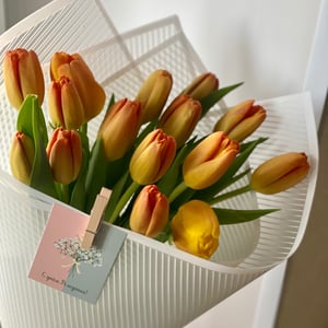 Букет «15 тюльпанов»