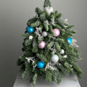 Елка Лесная красота