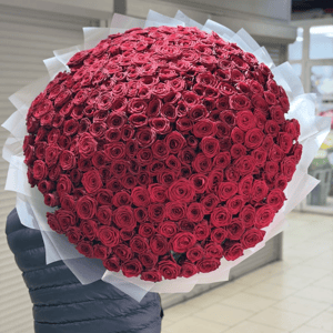 Букет «Красные розы 251 штук»