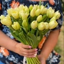 Букет «Лимонный пирог» из тюльпанов