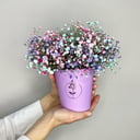 Цветы в коробке с гипсофилой