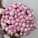 Букет розовых пионов под ленту 71 шт