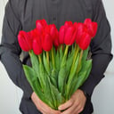 Букет «25 Тюльпанов»