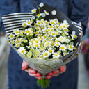 Букет «Летнее дыхание» из ромашек