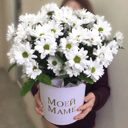 Шляпная коробка с цветами «Аромат лета» из хризантем