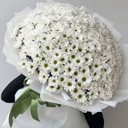 Букет ромашковой хризантемы