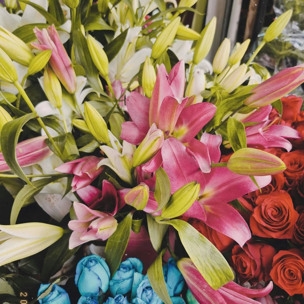Flowers for delivery in Brazil