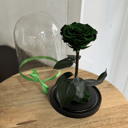 Роза в колбе Вип зеленая