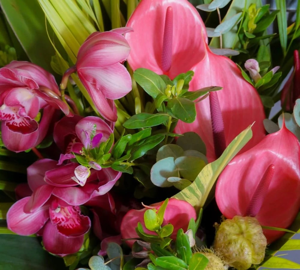 Orchid and anthurium arrangement
