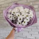 Букет белых хризантем