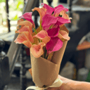 Букет «Иллена» из калл