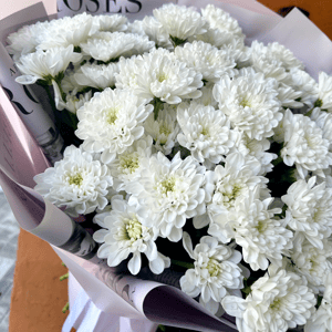 Моно букет из хризантем