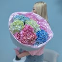 Букет из 7 гортензий