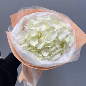 Букет «Белая гортензия в упаковке»