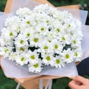 Букет из хризантем ромашек