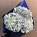 Букет «Гортензия в ассортименте»