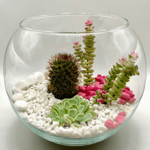 Сад в стекле Нежность с характером