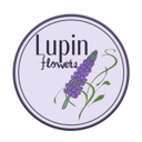 Lupin Flowers