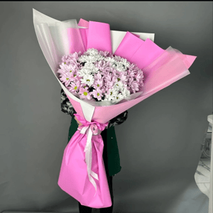 Букет гигант из хризантем в нежном цвете