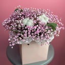 Гипсофила в коробочке с хлопком