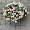 Корзина с цветами «Персеида»