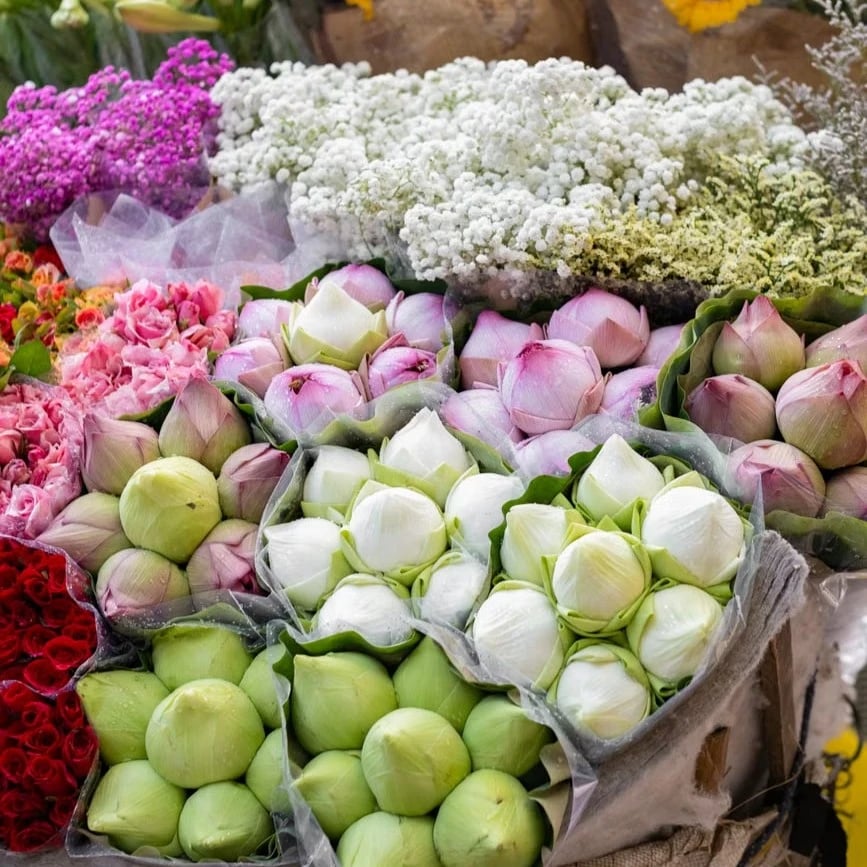 Flowers in Dubai International City