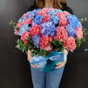 Шляпная коробка с диантусом "Волшебство"