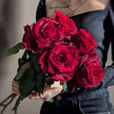 Букет «Бордовые розы Explorer пять штук»