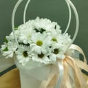 Коробка с цветами «Ромашки в сумочке» из хризантем