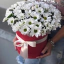 Шляпная коробка с цветами «Букет ромашек в красной коробке»