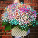 Шляпная коробка с цветами «Радуга.» из гипсофил