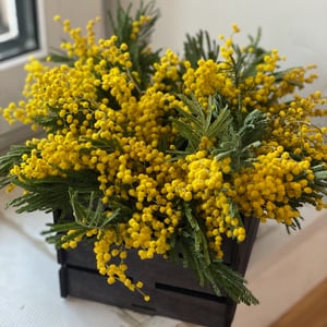 Коробка с цветами «Мимоза в мини-ящичке»