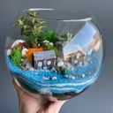 Флорариум с домиками