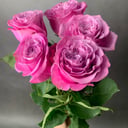 Букет из 5 пионовидных роз