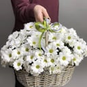 Корзина с цветами «Ромашковое поле» из хризантем