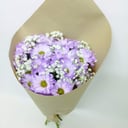 Букет ромашковых хризантем Фиолетовый