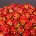101 оранжевая роза сорта Инка