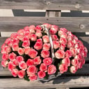 101 роза в корзине