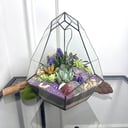 Floroom Флорариумы