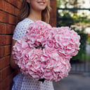 Букет «Розовая гортензия 5 штук»