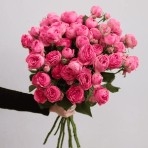 Букет из 9 пионовидных кустовых роз