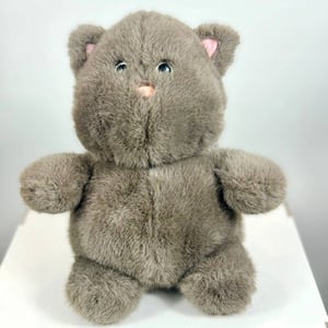 Кот Флип