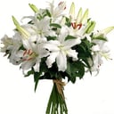 Букет «7 лилий»