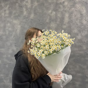 Букет «Ромашки»