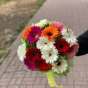 Букет «Гербер»