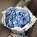 Букет «Verena» из гортензий