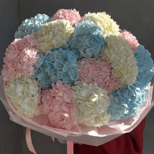 Букет гортензий 15 штук